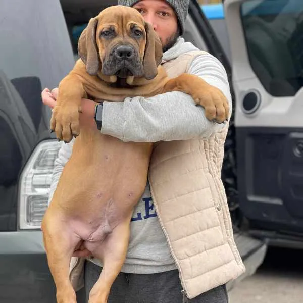 Meet Axel