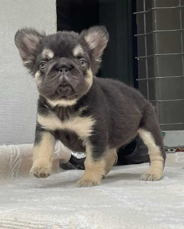 Meet Lilly