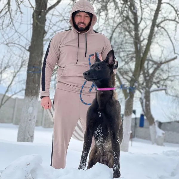 Belgian malinois Kobe