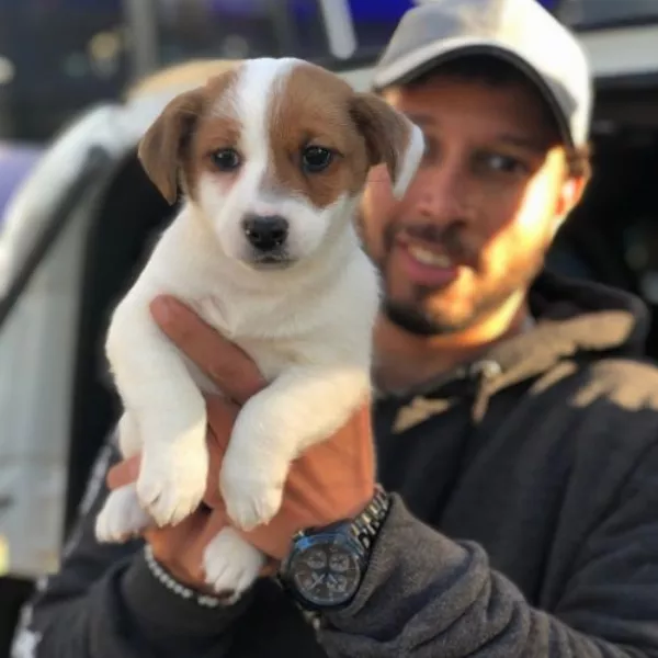 Meet Rio
