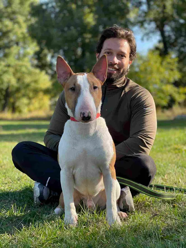 Bull Terrier Sam