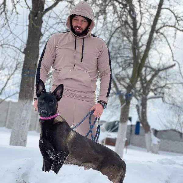 Belgian malinois Kobe