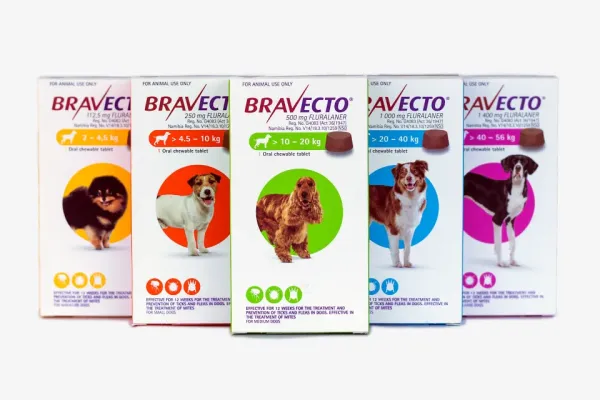 Bravecto for Dogs: Effective Flea and Tick Control