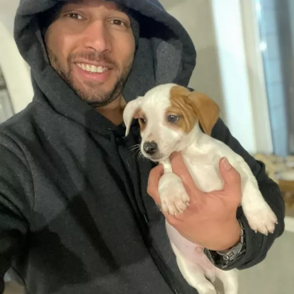 Meet Theo