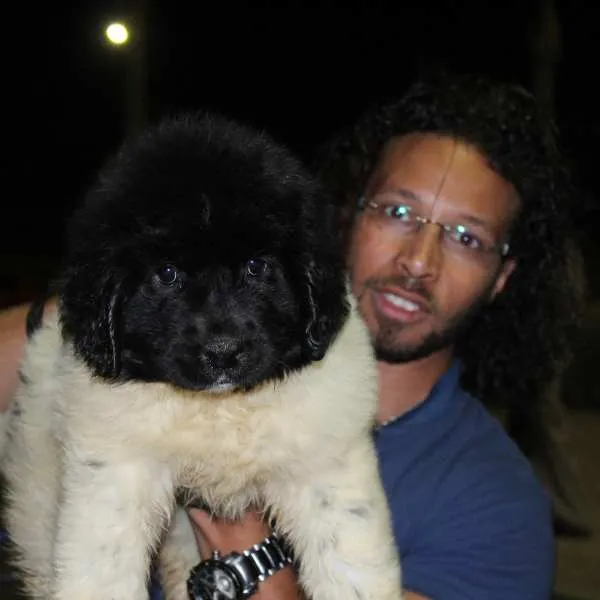 Meet Jackson