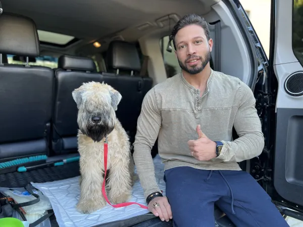 Airedale Terrier Overview: Everything You Need to Know