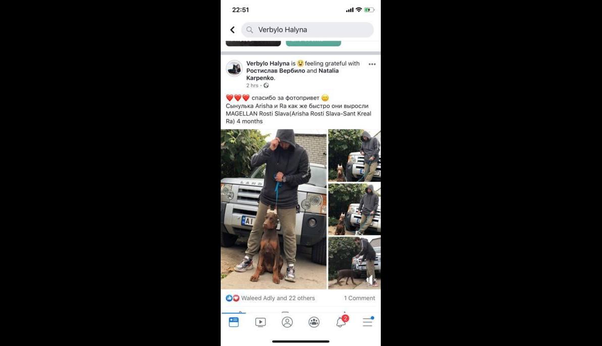 Doberman (Russia to Egypt)