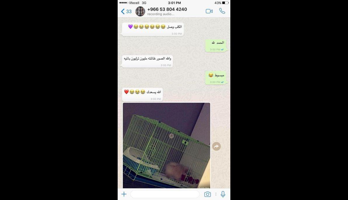 Pomeranian (Ukraine to Algeria)