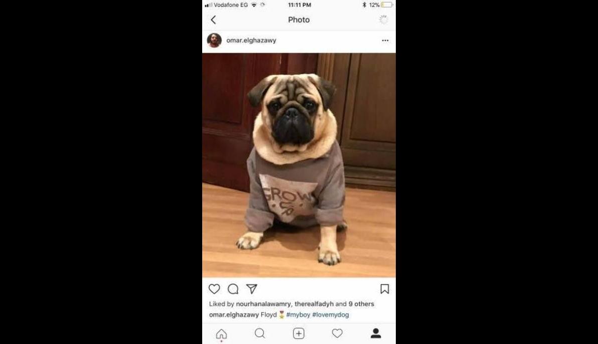 PUG (Ukraine to Egypt)