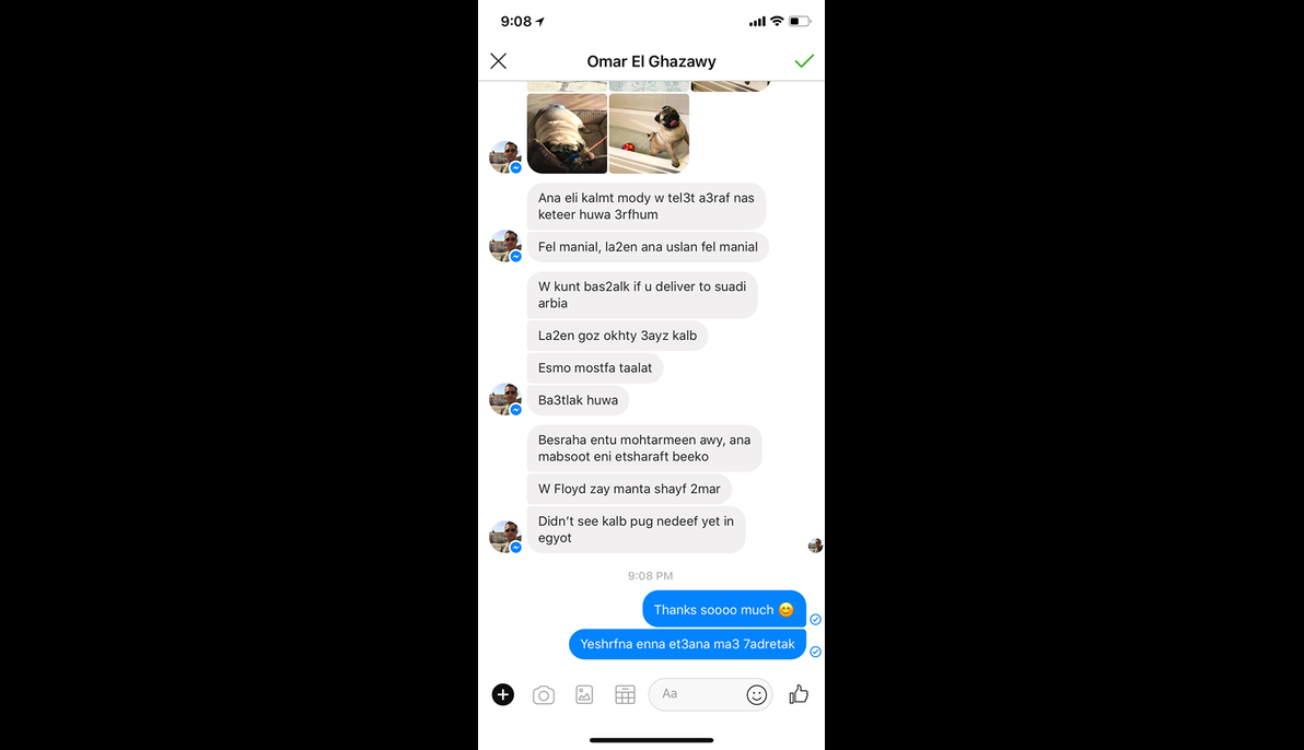 PUG (Ukraine to Egypt)