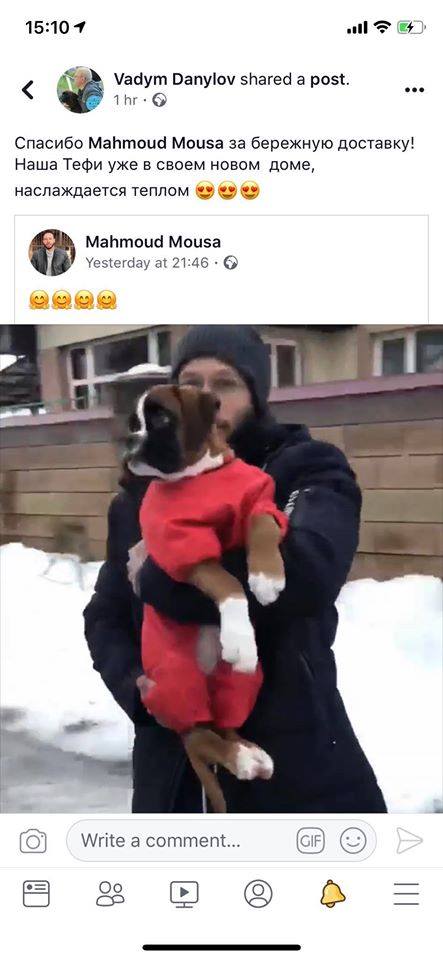 Boxer (Ukraine to Egypt)