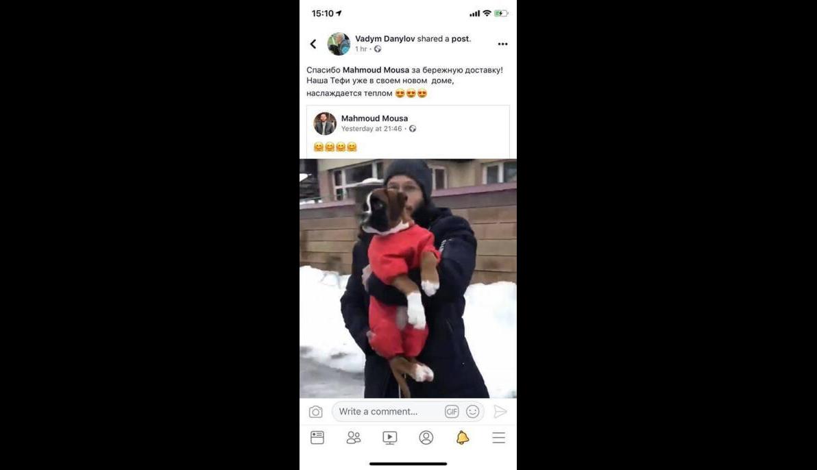 Boxer (Ukraine to Egypt)