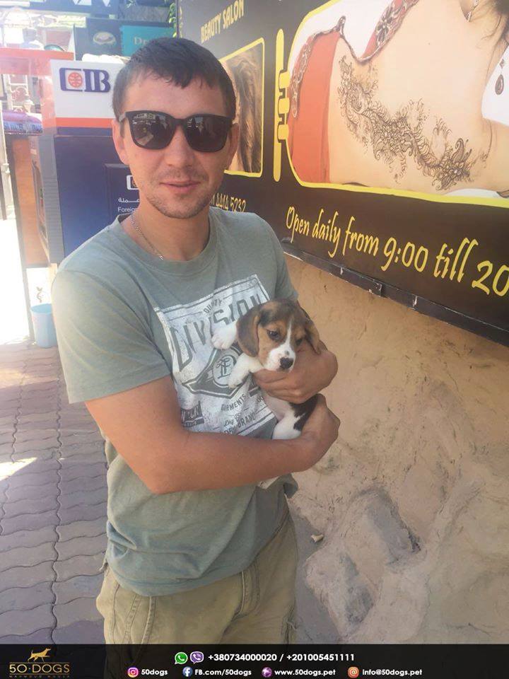Beagle (Ukraine to Egypt)