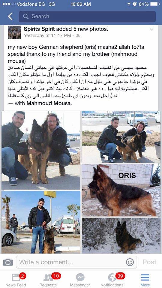 GSD (Poland to Egypt)