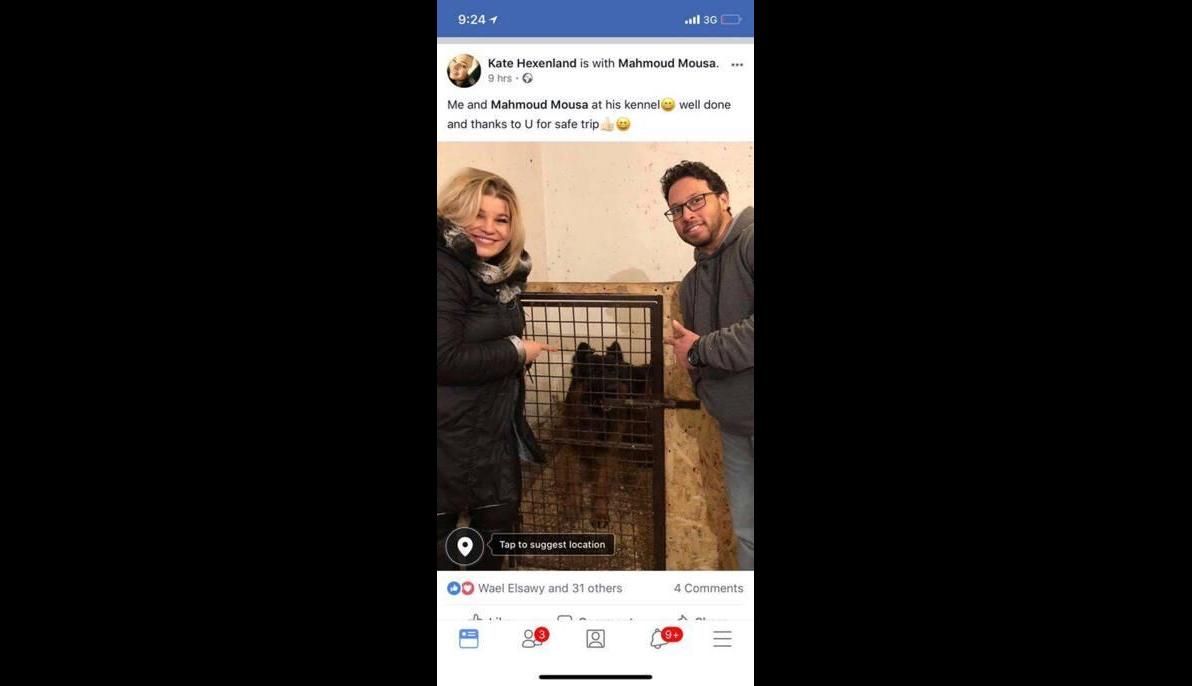 German Shephered (Poland to Egypt)