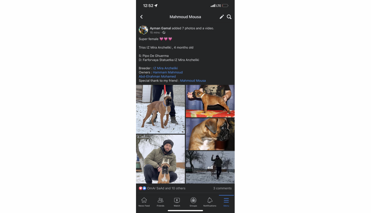 Boxer (Ukraine to Egypt)