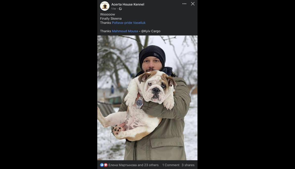 English Bulldog (Ukraine to Egypt)