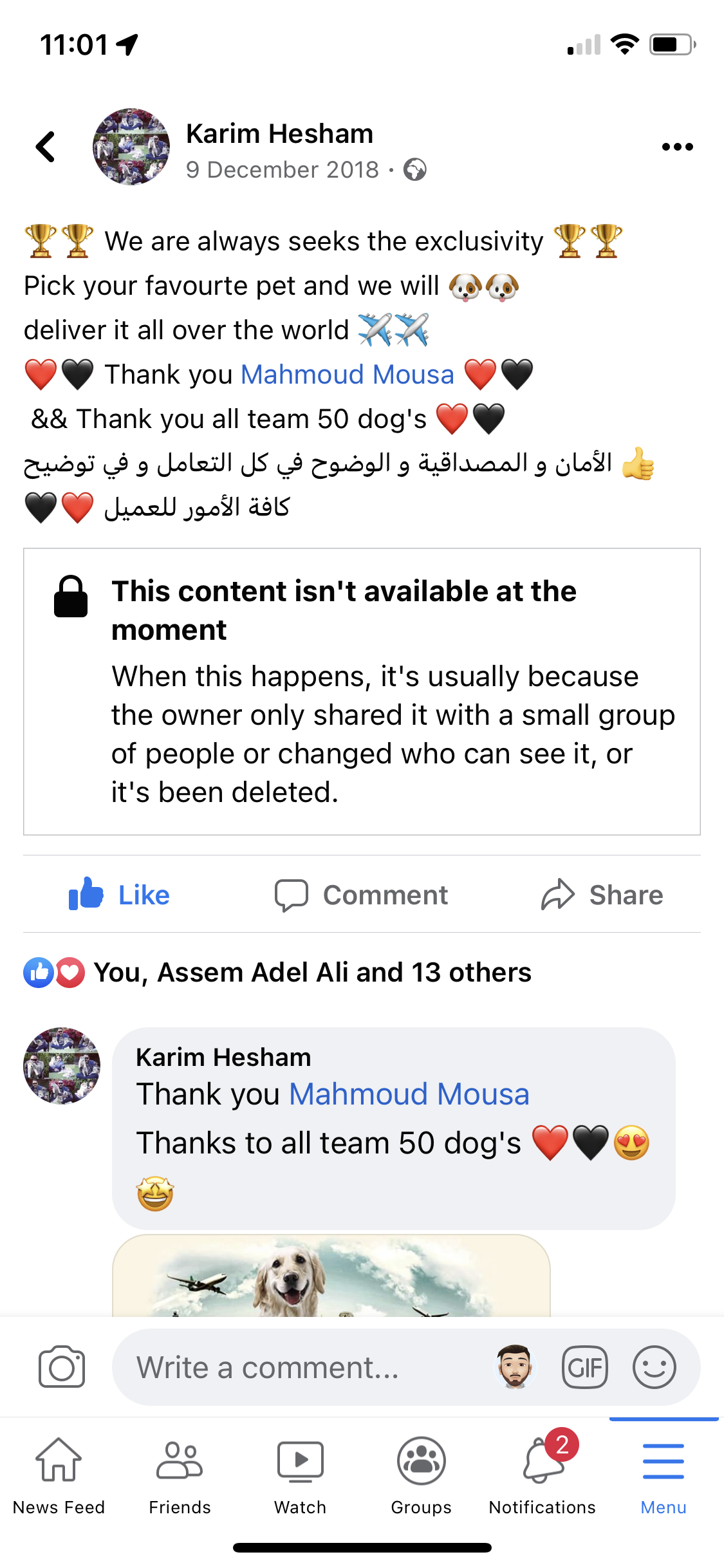 Alaskam Malamute (Ukraine to Egypt)