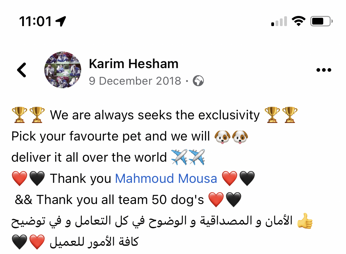 Alaskan Malamute (Ukriane to Egypt)