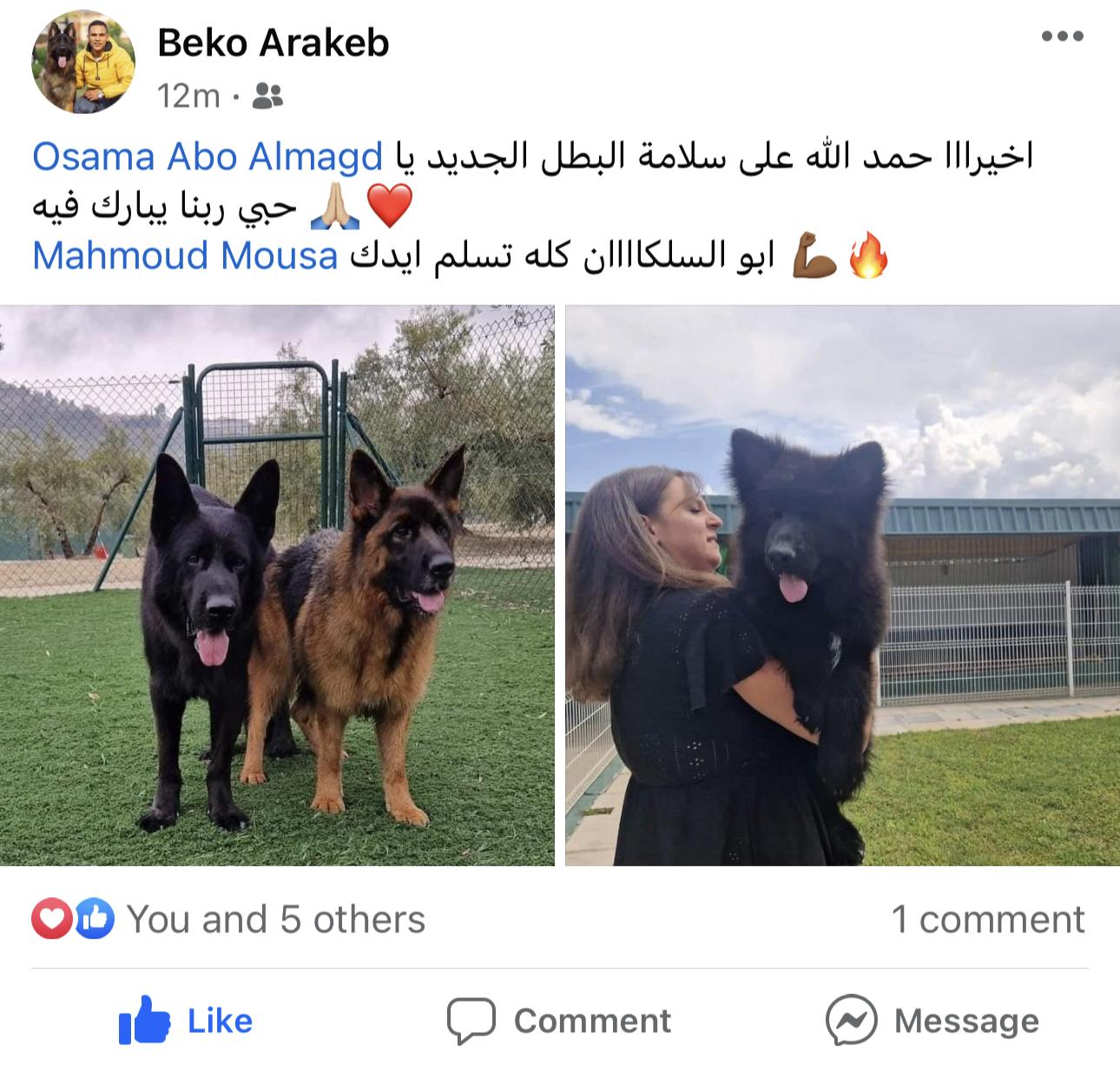 GSD (Russia to Egypt)