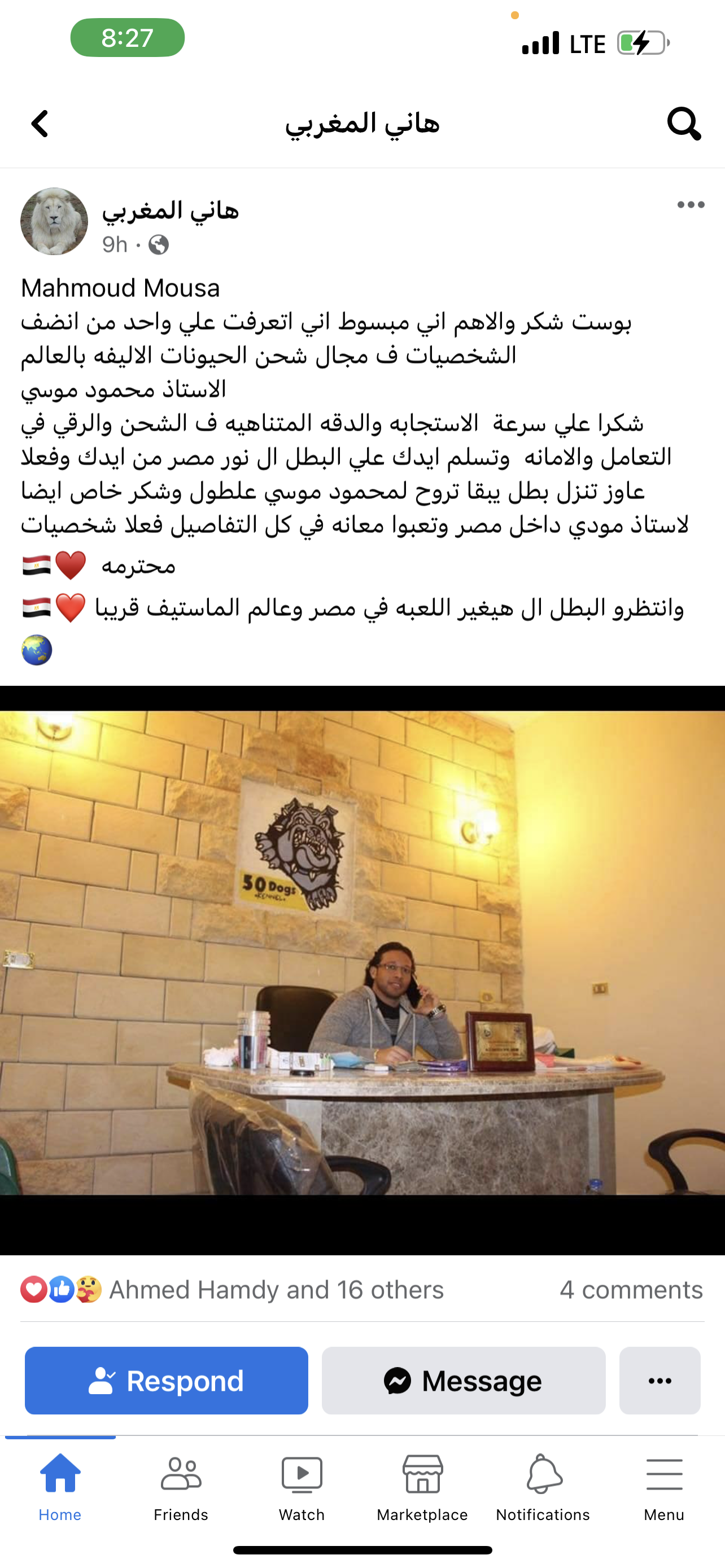 English Mastiff (Ukraine to Egypt)