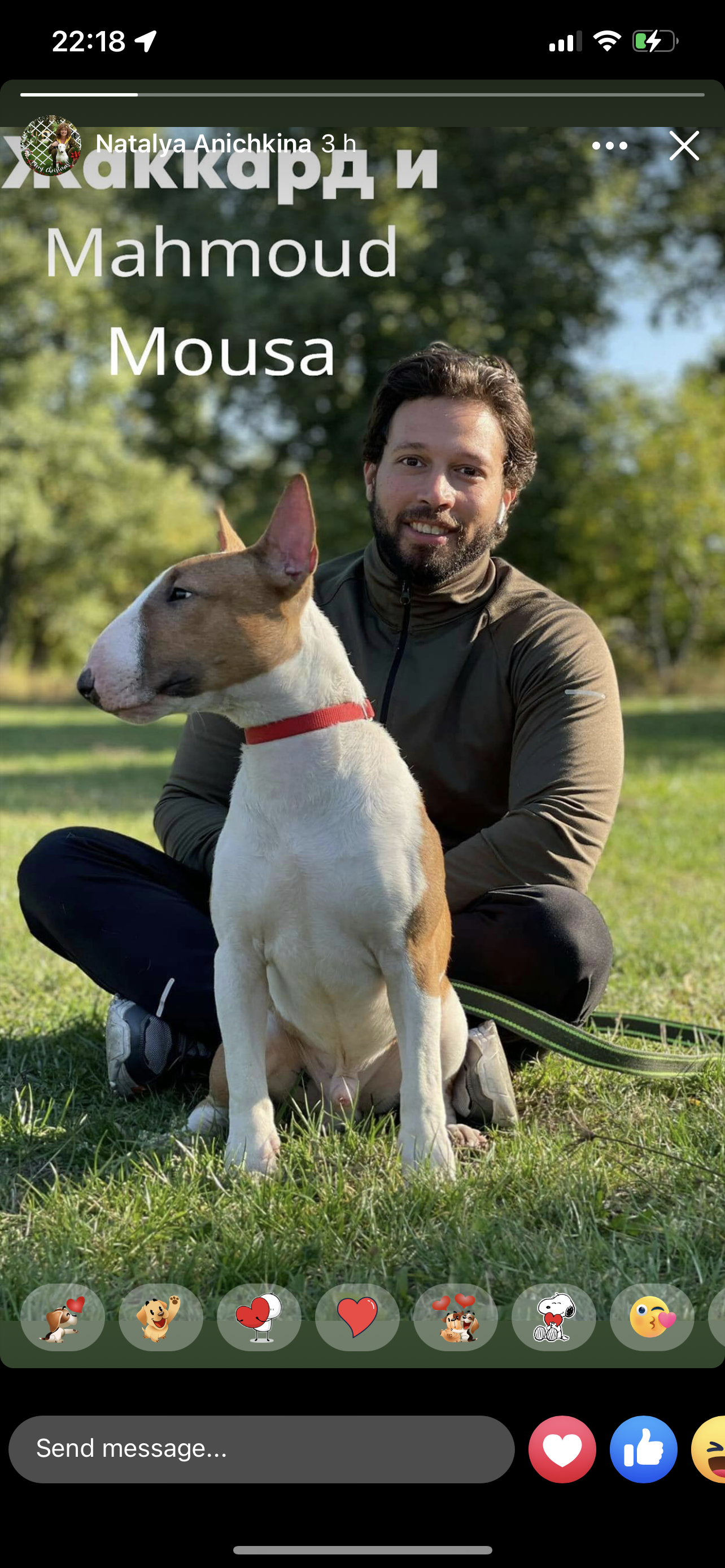 Bull Terrier (Ukraine to Egypt)