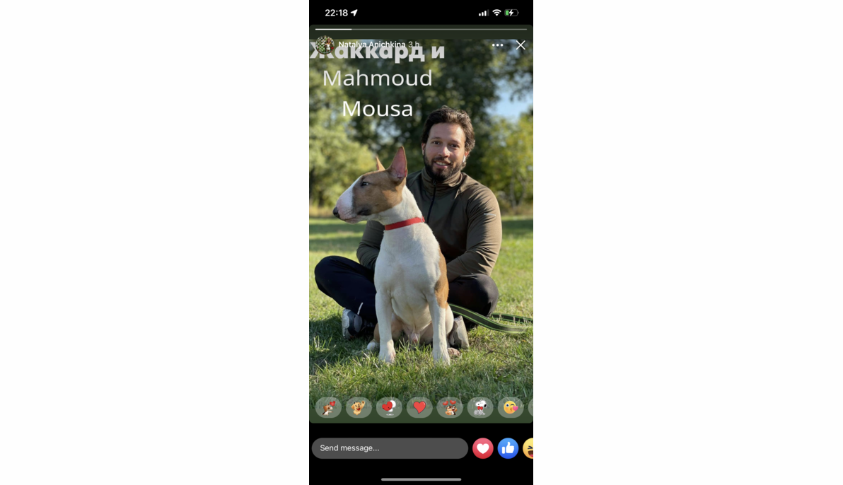 Bullterrier (Russia to Egypt)