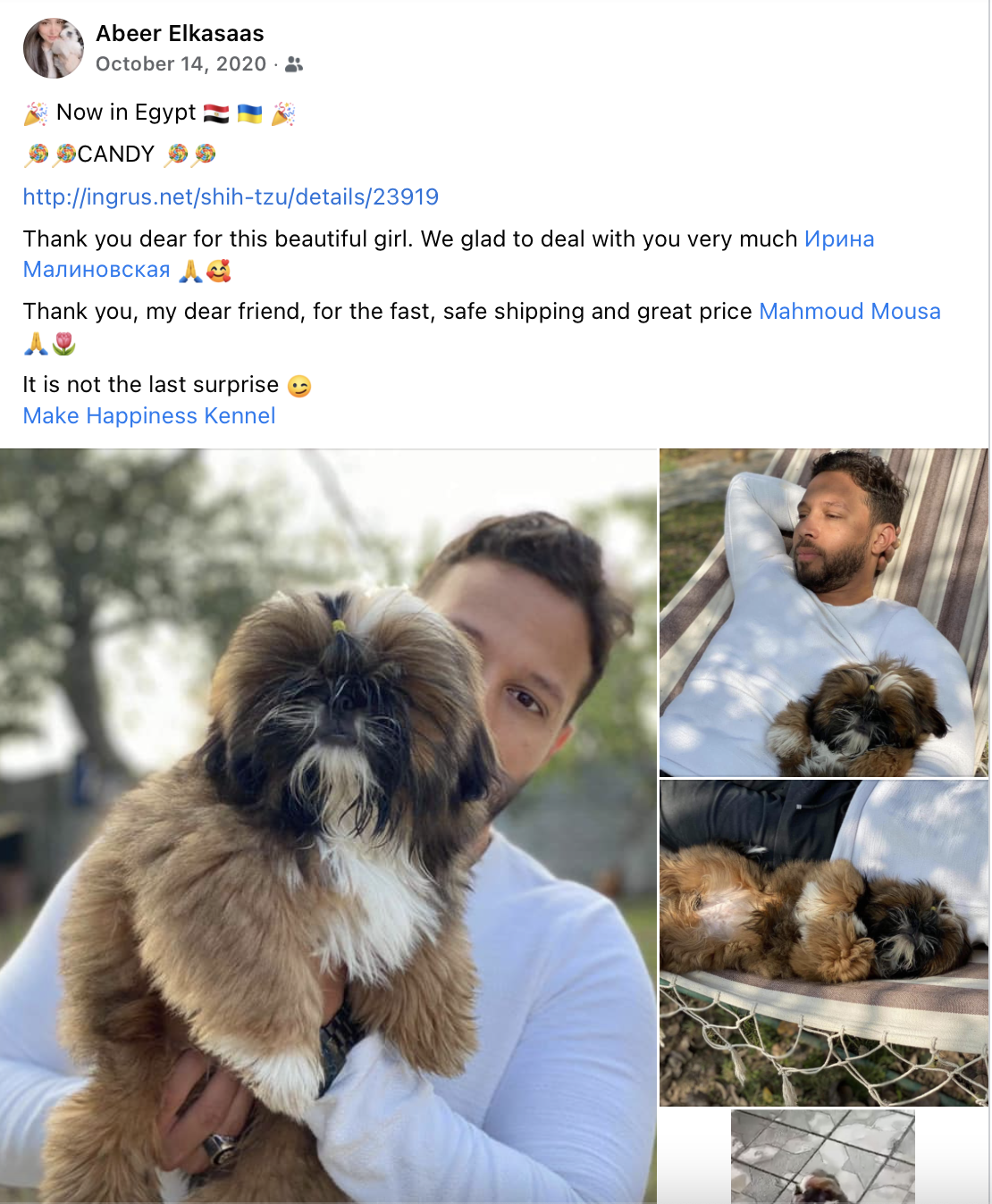 Shih Tzu (Ukraine to Egypt)