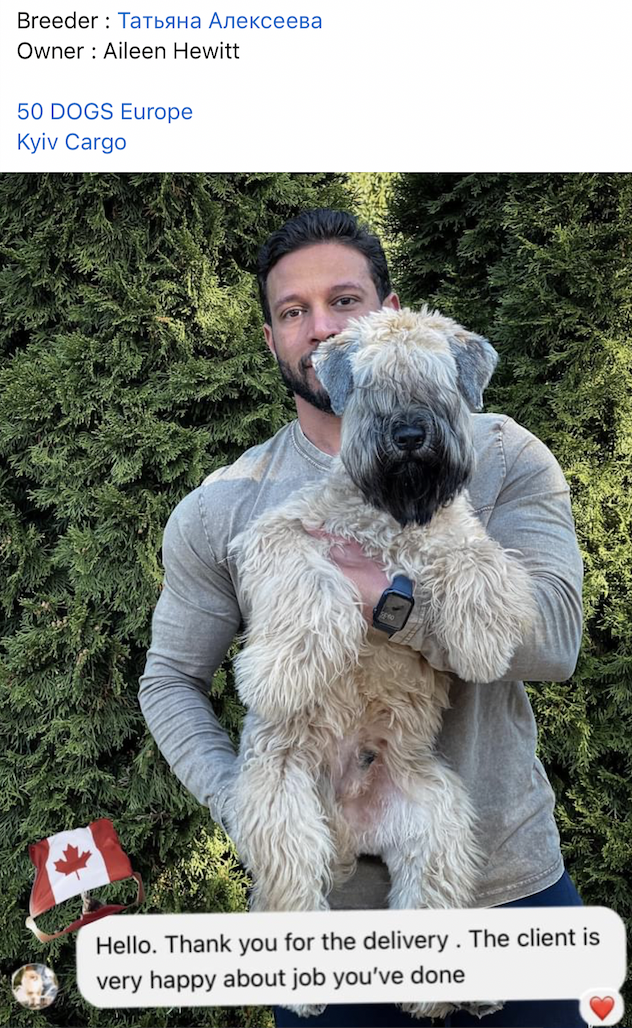 Airedale Terrier (Ukraine to Canada)