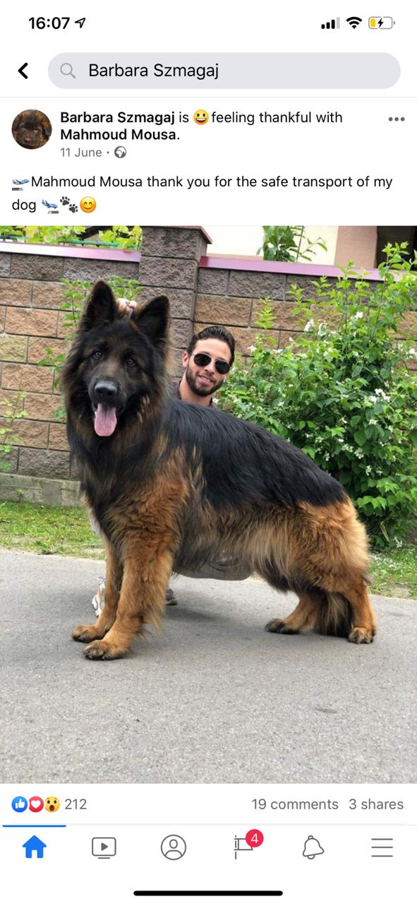 GSD (Poland to Egypt)