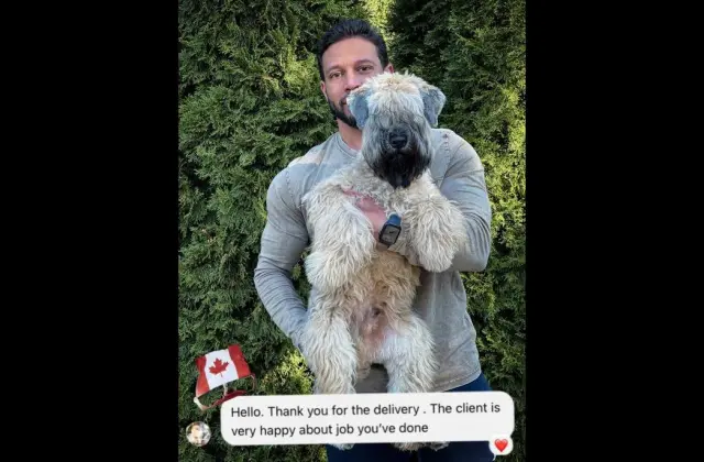Airedale Terrier (Poland to Canada) client journey