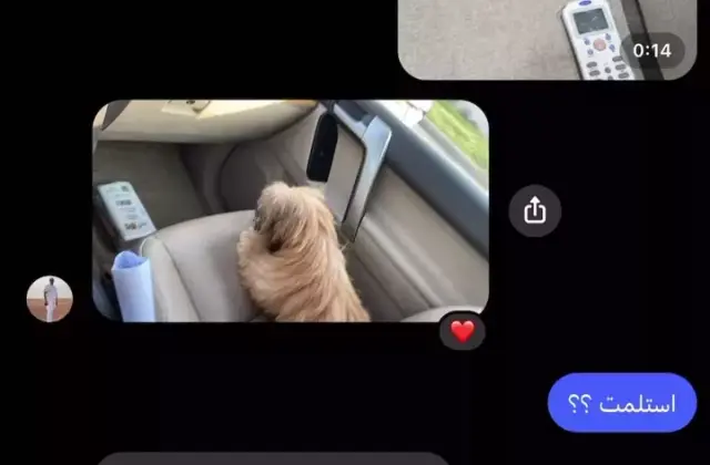Shih Tzu client journey