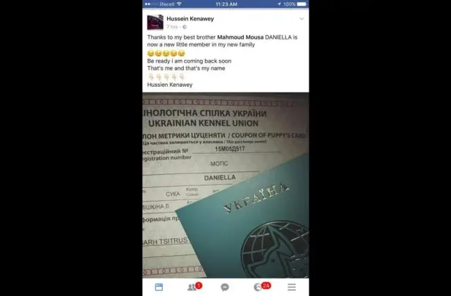 PUG (Ukraine to Egypt) client journey