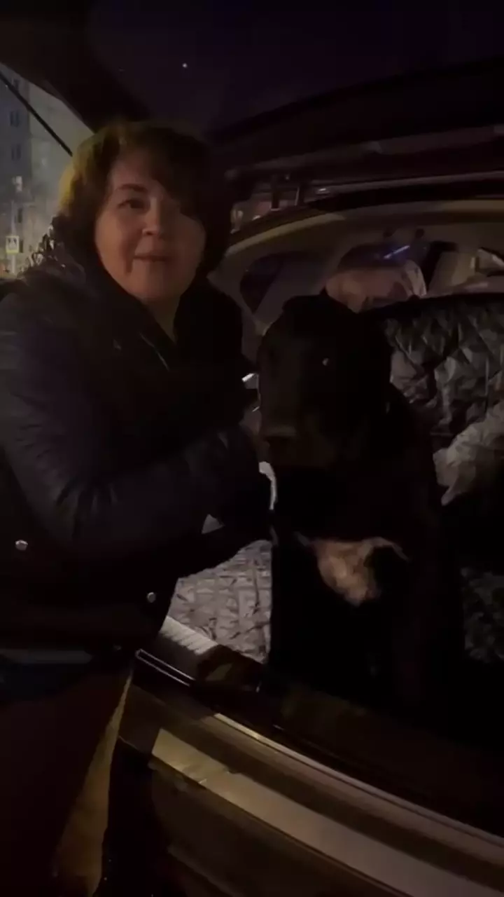 Alabai (Russia to Egypt)