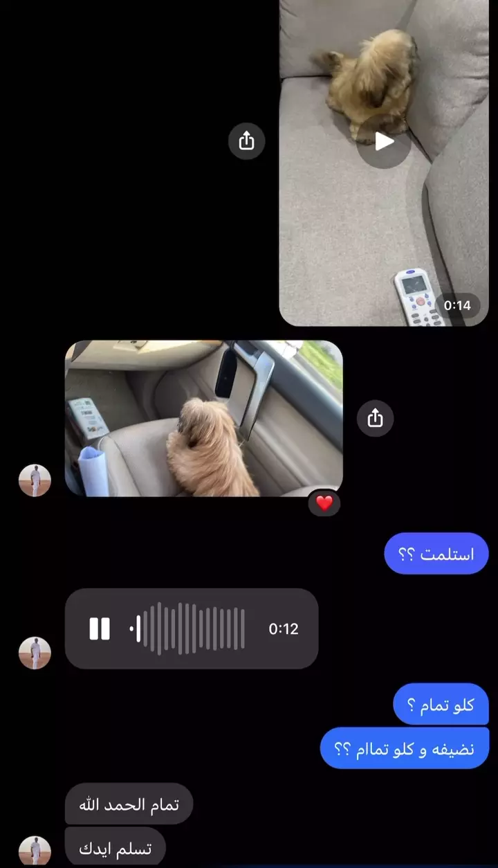 RPReplay_Final1690900606