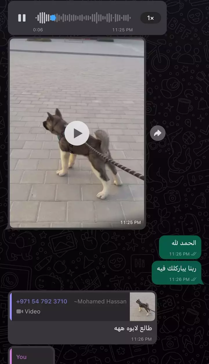 RPReplay_Final1690900881