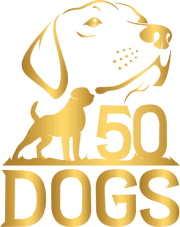 50dogs